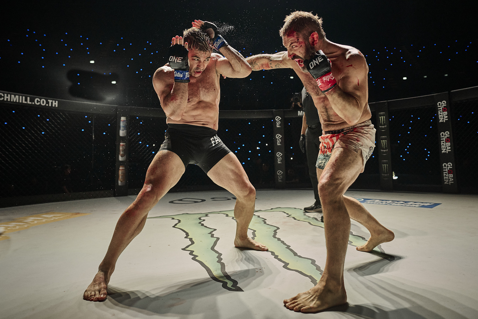 Реалистичный мир MMA