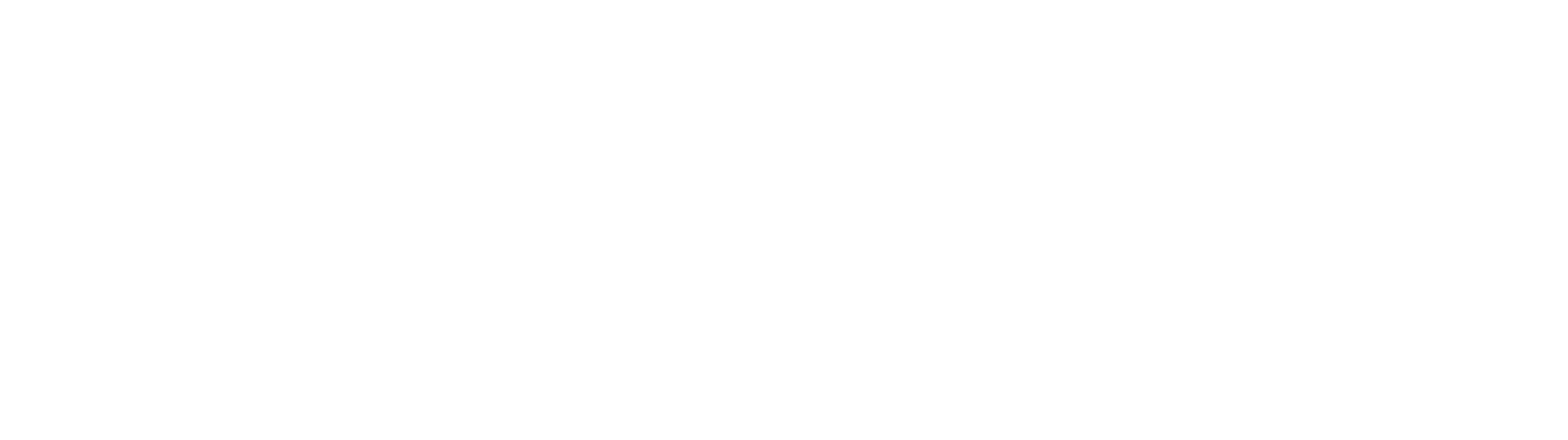 2gis